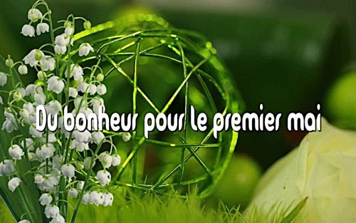 MUGUET2.jpg